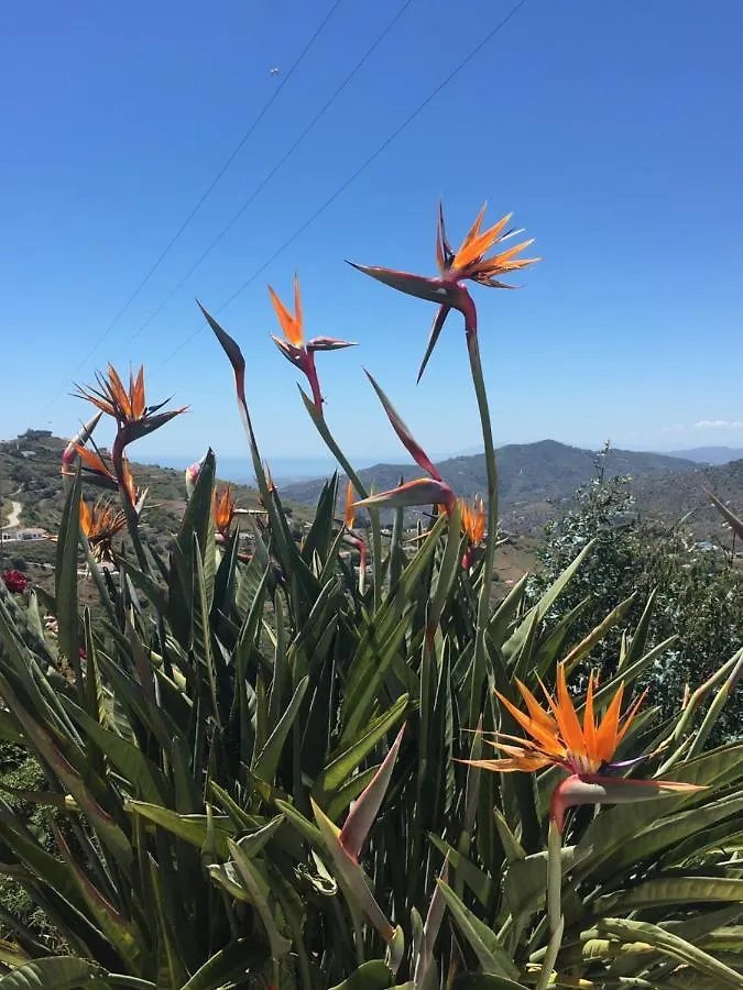 Casa-B Bed & Breakfast, Adults Recommended Cómpeta
